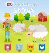 100 okienek do nauki. Słowa