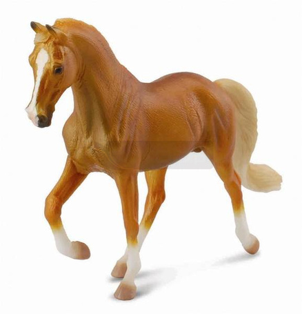 Ogier Tennessee Walking Horse maści izabelowatej