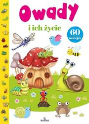 Owady i ich życie