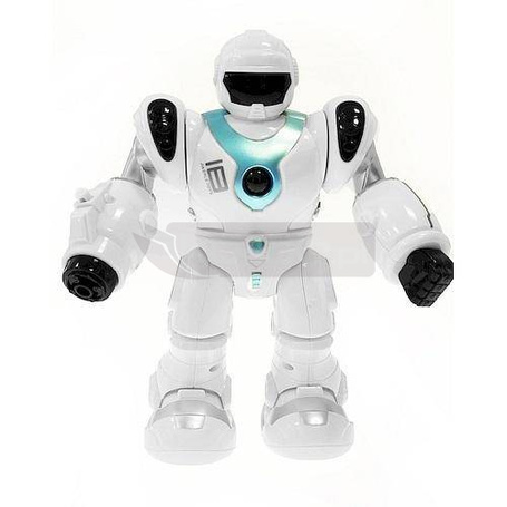 Robot chodzący
