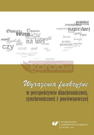 Wyrażenia funkcyjne w perspektywie diachronicznej