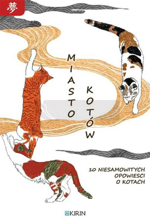 Miasto kotów. 10 niesamowitych opowieści o kotach