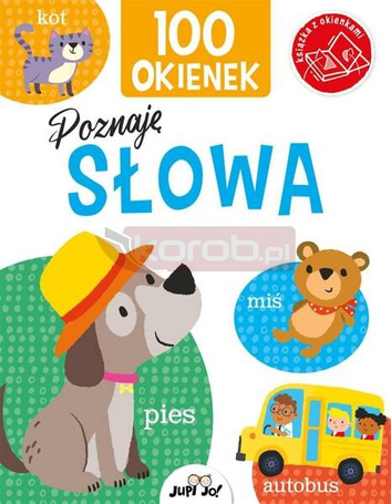 100 okienek. Poznaję słowa