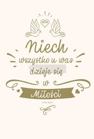 NT z infografikami B5 złota tł. Ślub