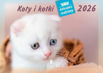 Kalendarz 2026 rodzinny Koty i kotki
