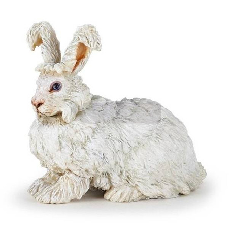 Krolik angora