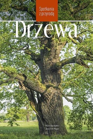 Drzewa. Spotkania z przyrodą