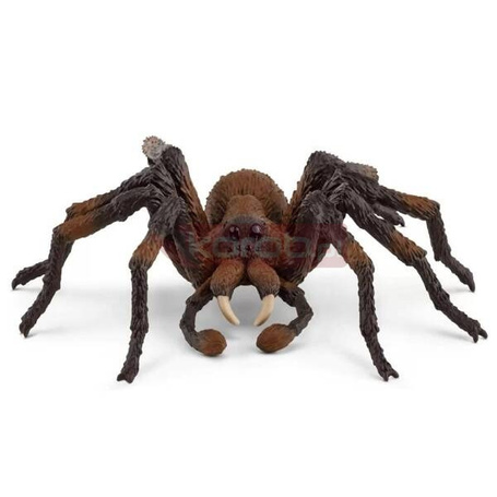 Aragog Wizarding World