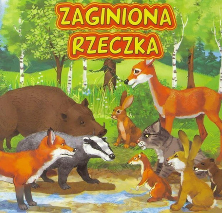 Zaginiona rzeczka JAFI