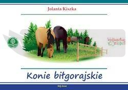 Konie biłgorajskie