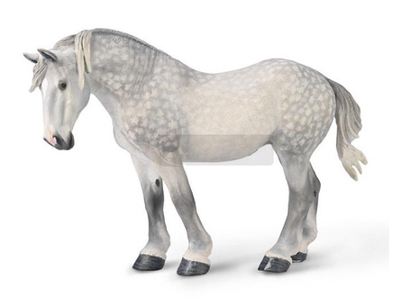 Klacz percheron siwa jabłkowita