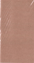 Wkład kalendarzowy 2026 Organizer Podróżnika TNS