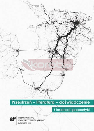 Przestrzeń literatura doświadczenie