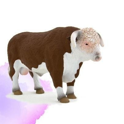 Byk rasy Hareford ANIMAL PLANET