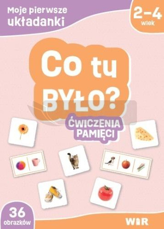 Moje pierwsze układanki. Co tu było? Ćw. pamięci