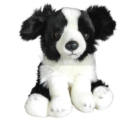 Border Collie 30cm
