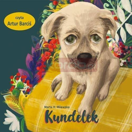 Kundelek audiobook
