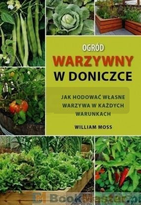 Ogród warzywny w doniczce