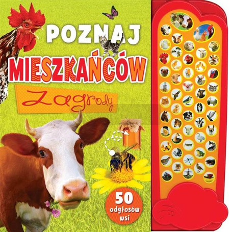 Poznaj mieszkańców zagrody