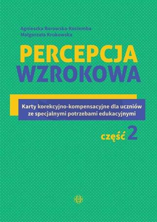 Percepcja wzrokowa cz.2