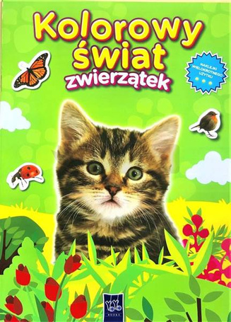 Kolorowy świat zwierzątek. Kotek