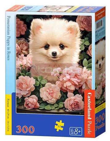 Puzzle 300 Pomeranian Puppy in Roses CASTOR