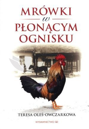 Mrówki w płonącym ognisku