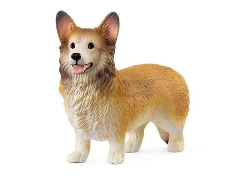 Corgi