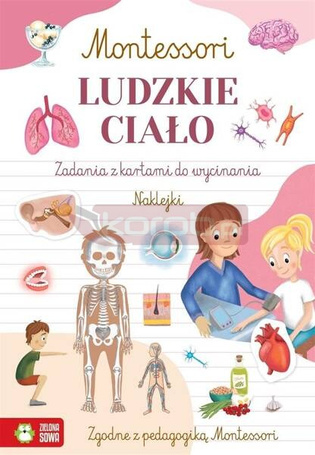 Montessori. Ludzkie ciało