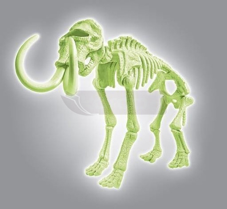 Naukowa zabawa Skamieniałości Mamut fluorescencyjny 60890