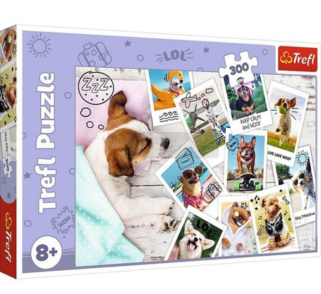 Puzzle 300 Zdjęcia z wakacji TREFL