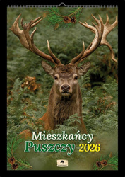 Kalendarz 2026 A3 ścienny mieszkańcy puszczy