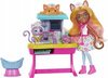 ENCHANTIMALS LALKA DR CARLIN CAT gabinet lekarski HLH22