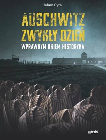 Auschwitz. Zwykły dzień. Wprawnym okiem historyka