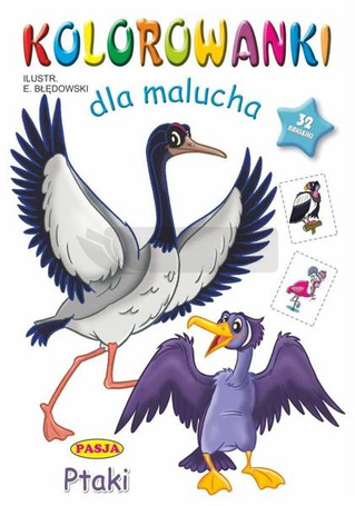 Kolorowanki dla malucha Ptaki