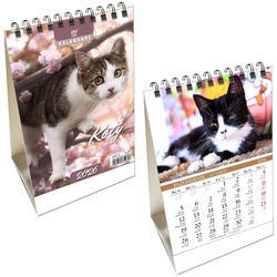 Kalendarz 2026 biurkowy pion Koty