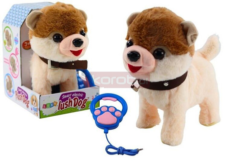 Pies interaktywny na smyczy chodzi tańczy śpiewa