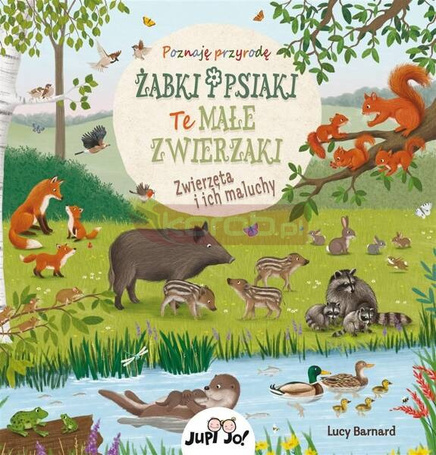 Żabki i psiaki. Te małe zwierzaki