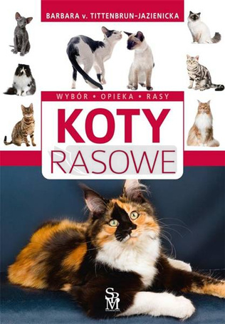 Koty rasowe. Wybór, opieka, rasy