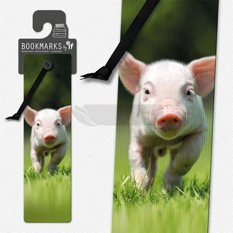 Zakładka 3D 15409 - Świnka