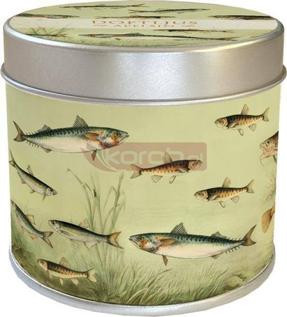 Zapachowa świeczka 232 Nordyckie ryby