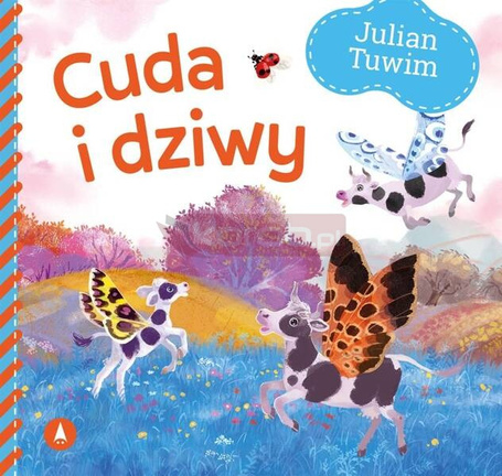 Cuda i dziwy