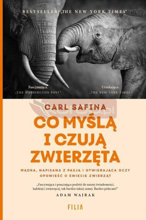 Co myślą i czują zwierzęta