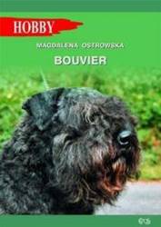 Bouvier