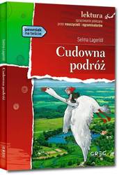 Cudowna podróż