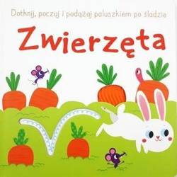 Dotknij, poczuj i podążaj po śladzie. Zwierzęta