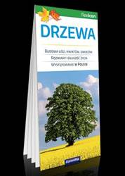 Drzewa