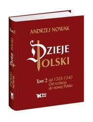 Dzieje Polski. Tom 2. Od rozbicia do nowej Polski