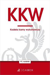 KKW Kodeks karny wykonawczy w.41