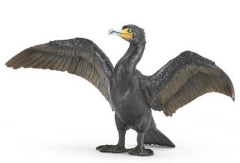 Kormoran